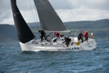 spirit of jacana irl1335 whyw22 thur 750_4361yi